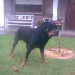 Woker